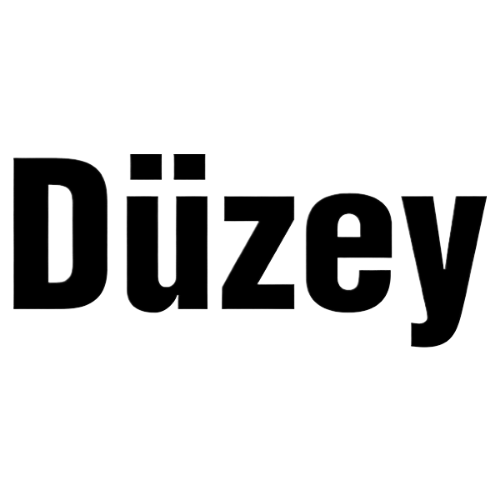 Düzey